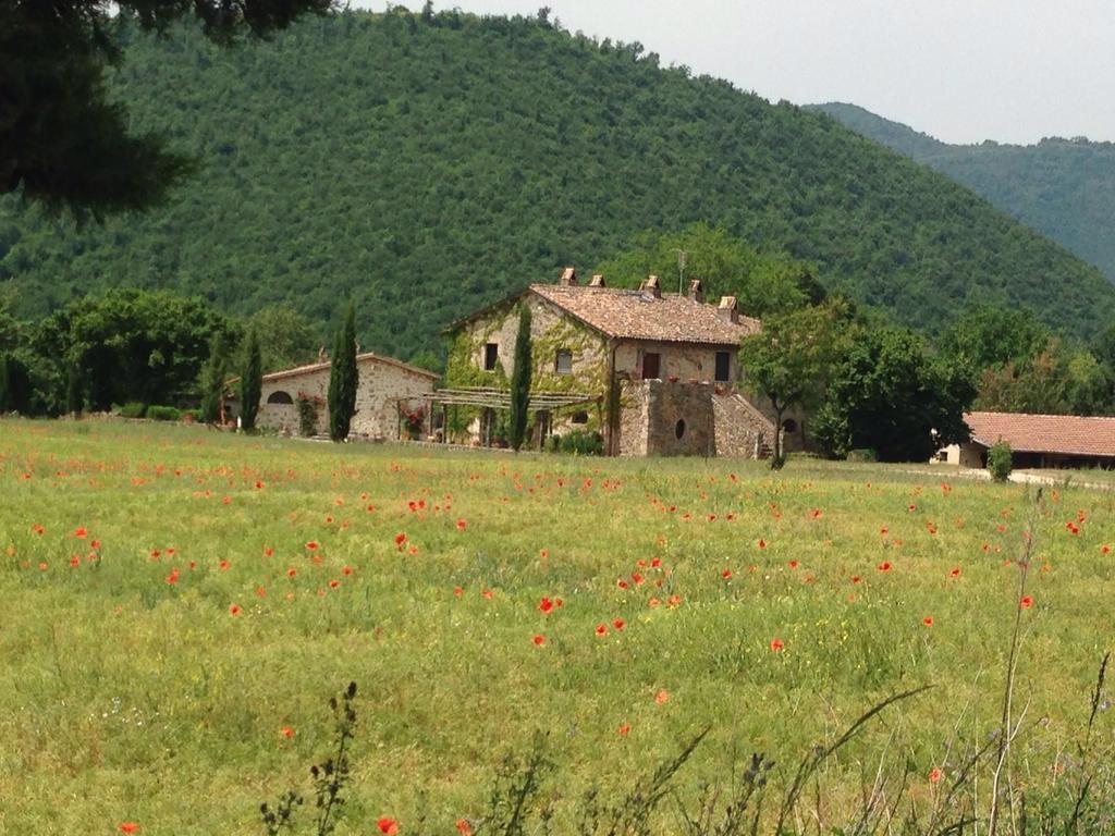 Agriturismo Cardito Santa Rufina Esterno foto