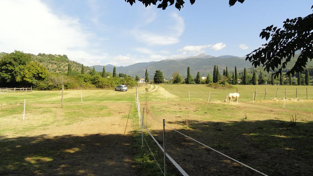 Agriturismo Cardito Santa Rufina Esterno foto