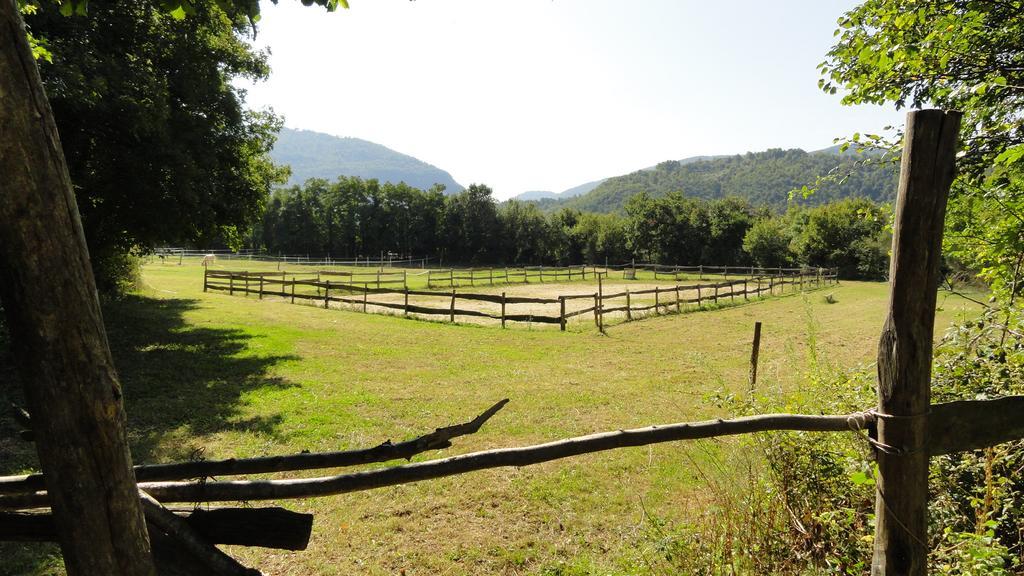 Agriturismo Cardito Santa Rufina Esterno foto